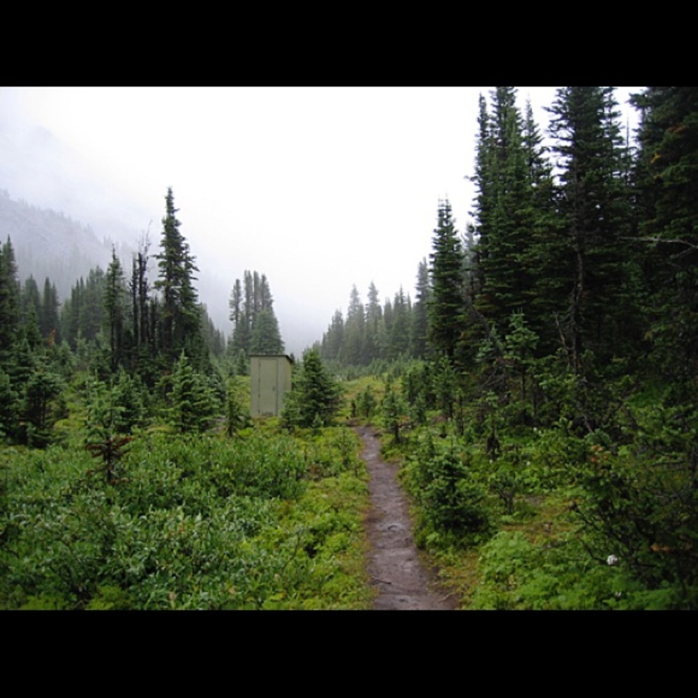 Meet your Posher, Ann